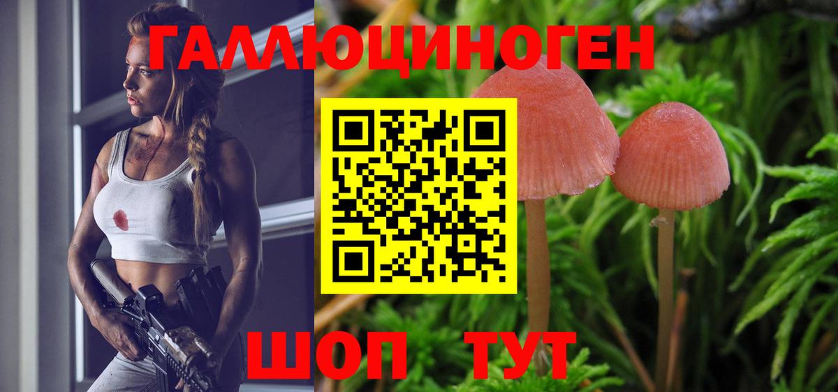 Галлюциногенные грибы мухоморы Узловая